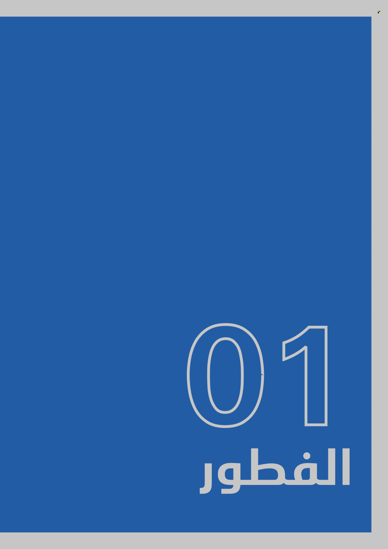 Carrefour offer. Page 1