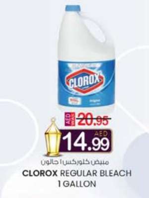 CLOROX REGULAR BLEACH 1 GALLON